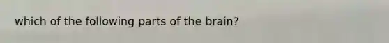 which of the following parts of the brain?