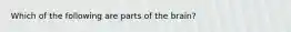 Which of the following are parts of the brain?