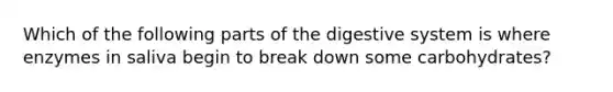 Which of the following parts of the digestive system is where enzymes in saliva begin to break down some carbohydrates?
