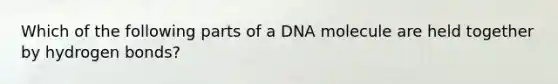 Which of the following parts of a DNA molecule are held together by hydrogen bonds?