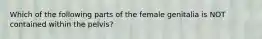 Which of the following parts of the female genitalia is NOT contained within the pelvis?