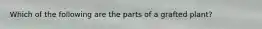 Which of the following are the parts of a grafted plant?