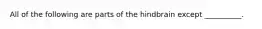 All of the following are parts of the hindbrain except __________.