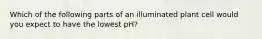 Which of the following parts of an illuminated plant cell would you expect to have the lowest pH?