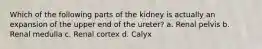 Which of the following parts of the kidney is actually an expansion of the upper end of the ureter? a. Renal pelvis b. Renal medulla c. Renal cortex d. Calyx