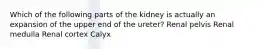 Which of the following parts of the kidney is actually an expansion of the upper end of the ureter? Renal pelvis Renal medulla Renal cortex Calyx