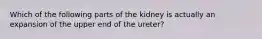 Which of the following parts of the kidney is actually an expansion of the upper end of the ureter?