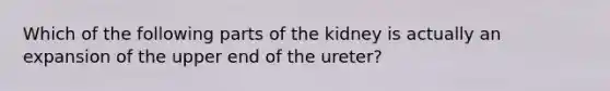 Which of the following parts of the kidney is actually an expansion of the upper end of the ureter?