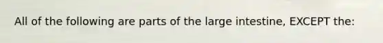 All of the following are parts of the large intestine, EXCEPT the: