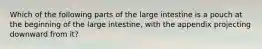 Which of the following parts of the large intestine is a pouch at the beginning of the large intestine, with the appendix projecting downward from it?