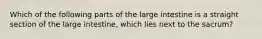 Which of the following parts of the large intestine is a straight section of the large intestine, which lies next to the sacrum?