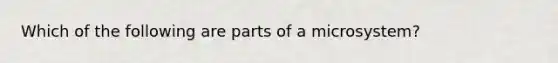 Which of the following are parts of a microsystem?