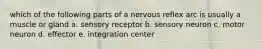 which of the following parts of a nervous reflex arc is usually a muscle or gland a. sensory receptor b. sensory neuron c. motor neuron d. effector e. integration center