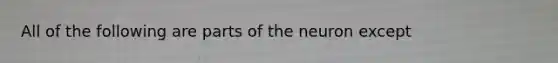 All of the following are parts of the neuron except