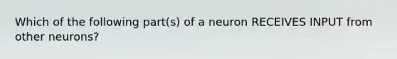 Which of the following part(s) of a neuron RECEIVES INPUT from other neurons?