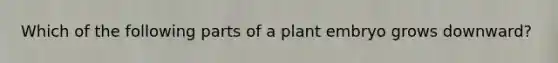 Which of the following parts of a plant embryo grows downward?