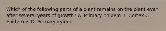 Which of the following parts of a plant remains on the plant even after several years of growth? A. Primary phloem B. Cortex C. Epidermis D. Primary xylem