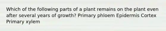 Which of the following parts of a plant remains on the plant even after several years of growth? Primary phloem Epidermis Cortex Primary xylem