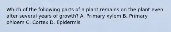 Which of the following parts of a plant remains on the plant even after several years of growth? A. Primary xylem B. Primary phloem C. Cortex D. Epidermis