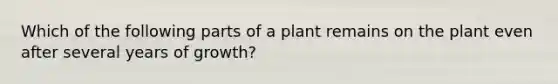 Which of the following parts of a plant remains on the plant even after several years of growth?