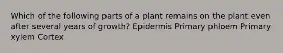 Which of the following parts of a plant remains on the plant even after several years of growth? Epidermis Primary phloem Primary xylem Cortex