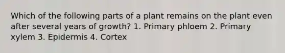 Which of the following parts of a plant remains on the plant even after several years of growth? 1. Primary phloem 2. Primary xylem 3. Epidermis 4. Cortex