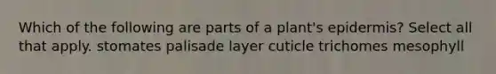 Which of the following are parts of a plant's epidermis? Select all that apply. stomates palisade layer cuticle trichomes mesophyll