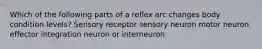 Which of the following parts of a reflex arc changes body condition levels? Sensory receptor sensory neuron motor neuron effector integration neuron or interneuron