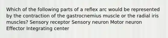 Which of the following parts of a reflex arc would be represented by the contraction of the gastrocnemius muscle or the radial iris muscles? Sensory receptor Sensory neuron Motor neuron Effector Integrating center