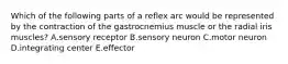 Which of the following parts of a reflex arc would be represented by the contraction of the gastrocnemius muscle or the radial iris muscles? A.sensory receptor B.sensory neuron C.motor neuron D.integrating center E.effector