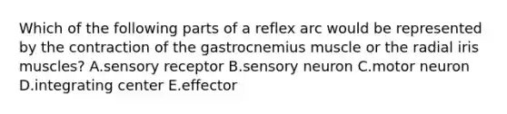 Which of the following parts of a reflex arc would be represented by the contraction of the gastrocnemius muscle or the radial iris muscles? A.sensory receptor B.sensory neuron C.motor neuron D.integrating center E.effector