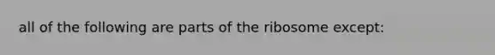 all of the following are parts of the ribosome except: