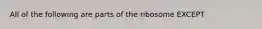 All of the following are parts of the ribosome EXCEPT