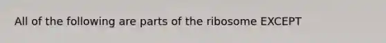 All of the following are parts of the ribosome EXCEPT