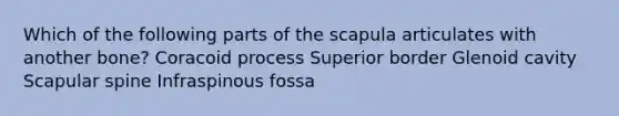 Which of the following parts of the scapula articulates with another bone? Coracoid process Superior border Glenoid cavity Scapular spine Infraspinous fossa