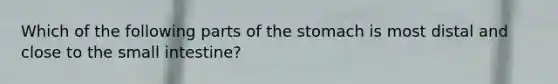 Which of the following parts of the stomach is most distal and close to the small intestine?