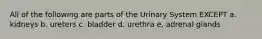 All of the following are parts of the Urinary System EXCEPT a. kidneys b. ureters c. bladder d. urethra e. adrenal glands