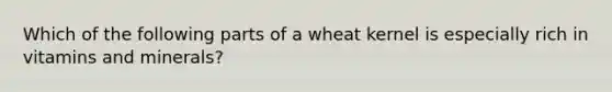 Which of the following parts of a wheat kernel is especially rich in vitamins and minerals?