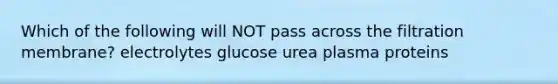 Which of the following will NOT pass across the filtration membrane? electrolytes glucose urea plasma proteins