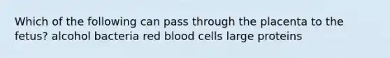 Which of the following can pass through the placenta to the fetus? alcohol bacteria red blood cells large proteins