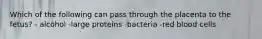 Which of the following can pass through the placenta to the fetus? - alcohol -large proteins -bacteria -red blood cells