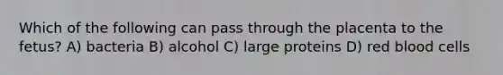 Which of the following can pass through the placenta to the fetus? A) bacteria B) alcohol C) large proteins D) red blood cells