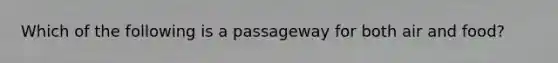 Which of the following is a passageway for both air and food?