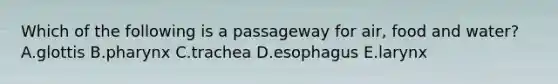 Which of the following is a passageway for air, food and water? A.glottis B.pharynx C.trachea D.esophagus E.larynx