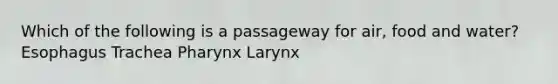 Which of the following is a passageway for air, food and water? Esophagus Trachea Pharynx Larynx