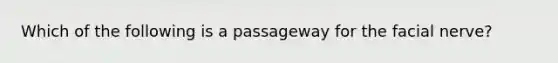 Which of the following is a passageway for the facial nerve?