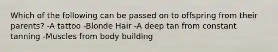 Which of the following can be passed on to offspring from their parents? -A tattoo -Blonde Hair -A deep tan from constant tanning -Muscles from body building