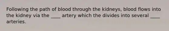 Following the path of blood through the kidneys, blood flows into the kidney via the ____ artery which the divides into several ____ arteries.
