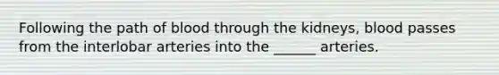 Following the path of blood through the kidneys, blood passes from the interlobar arteries into the ______ arteries.