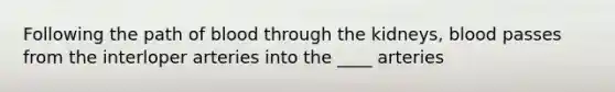 Following the path of blood through the kidneys, blood passes from the interloper arteries into the ____ arteries